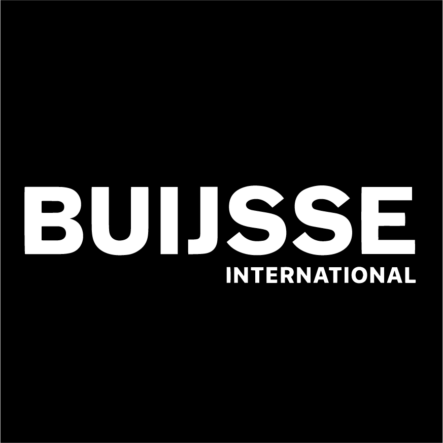 Logo Buijsse Painting